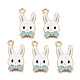 Alloy Pendants&nbsp;X-ENAM-S119-045B-02-3
