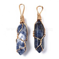 Natural Blue Spot Jasper Big Pendants&nbsp;G-T122-70B