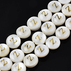 Natural Freshwater Shell Beads&nbsp;SHEL-S276-168