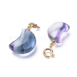 Carved Natural Fluorite Pendants&nbsp;G-J387-47