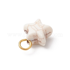 クラックル不透明アクリルパーツ  スターのチャーム  ゴールドカラー  14.5x11.5x7mm  穴：3.5mm&nbsp;PALLOY-JF03924-02