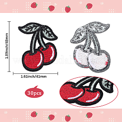30Pcs Computerized Embroidery Cloth Iron on/Sew on Patches&nbsp;PATC-CY0001-23