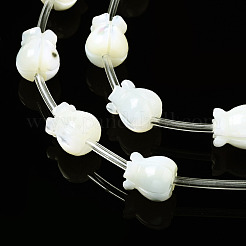 Natural Trochid Shell/Trochus Shell Beads Strands&nbsp;SSHEL-N032-26