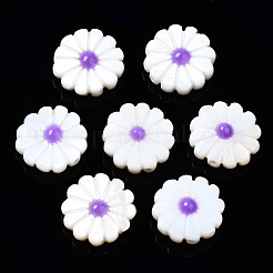 Natural Freshwater Shell Beads&nbsp;SHEL-N026-143A-149A