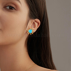 2Pairs 2 Colors Stainless Steel Stud Earrings&nbsp;EJEW-HY0001-46B