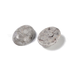 天然マイファナイトカボション  オーバル  20~20.8x15~15.5x5.8~6.5mm&nbsp;G-B080-01A-12