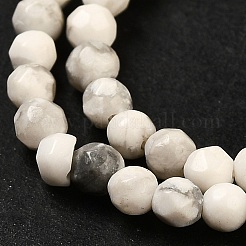Natural Howlite Beads Strands&nbsp;G-Z068-B05-01