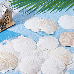 500G Natural Shell Ornaments&nbsp;DJEW-FH0001-35B