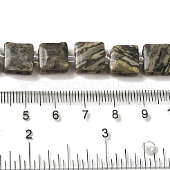 Natural Map Stone Beads Strands&nbsp;G-L596-A03-01
