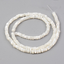 天然トロチッドシェル/トロカスシェルビーズ連売り  フラットラウンド  ホワイト  4x2mm  穴：1mm  約163個/連  14.57インチ（37cm）&nbsp;X-SHEL-R049-024