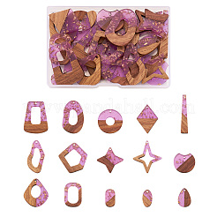 30Pcs 15 Style Transparent Resin & Walnut Wood Pendants&nbsp;RESI-FW0001-03