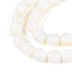 天然トロチッドシェル/トロカスシェルビーズ連売り  バレル  乳白色  9~10x8.5~10mm  穴：1mm  約40個/連  15.75インチ（40cm）&nbsp;SSHEL-N040-09