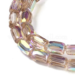 Electroplate Glass Chevron Beads Strands&nbsp;GLAA-Q101-02A-AB09