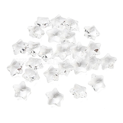 Transparent Glass Pendants&nbsp;X-GLAA-P037-04-16