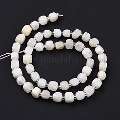 Natural Rainbow Moonstone Beads Strands&nbsp;G-K323-11