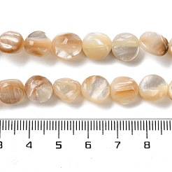 Natural Trochus Shell Beads Strands&nbsp;SHEL-G020-02