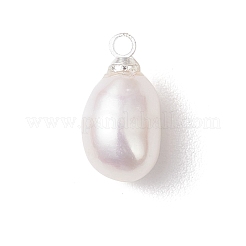 天然養殖淡水真珠ライスチャーム  真鍮のベイルと  ホワイト  銀  12.5~13x6.5~7.5mm  穴：1.6mm&nbsp;PALLOY-JF04822