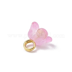 60色のフロストアクリルフラワーチャーム12個  金箔と黄金真鍮のボールヘッドピンループ付き  ミックスカラー  6x5.5x6mm  穴：1.8mm  5個/カラー&nbsp;PALLOY-JF03550