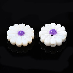 Natural Freshwater Shell Beads&nbsp;SHEL-N026-143A-149A