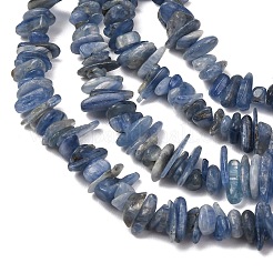 天然カヤナイト/シアナイト/ジフェンチップビーズ連売り  5~14x2~8mm  穴：1mm  約15.5インチ〜16.1インチ&nbsp;X-G-E271-78