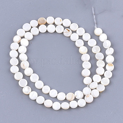 Freshwater Shell Beads Strands&nbsp;X-SHEL-S276-15A