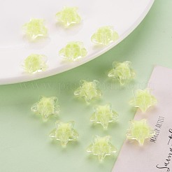 Transparent Acrylic Beads&nbsp;TACR-S152-11A-07