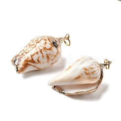 電気メッキ巻き貝ペンダント  鉄パーツ  巻き貝  ライトゴールド  36~46x19~25x15~20mm  穴：3mm&nbsp;BSHE-L036-43