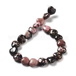 Natural Rhodonite Beads Strands&nbsp;G-P528-C07-01