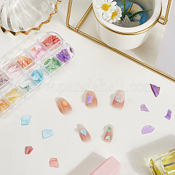 1 Set 12 Grid Nuggets Abalone Shell Nail Art Sequins for Woman Girls&nbsp;MRMJ-SP0001-06