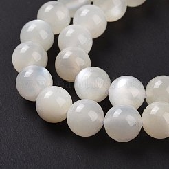 Natural White Moonstone Beads Strands&nbsp;G-F306-05AB-8mm