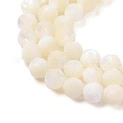 天然ニシキウズガイシェルビーズ連売り  多面カットラウンド  漂白  3mm  穴：0.3mm  約124~128個/連  15.16''（38.5センチメートル）&nbsp;SHEL-P017-05
