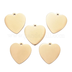 304 Stainless Steel Pendants&nbsp;STAS-I140-10A-G