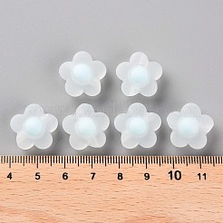 Transparent Acrylic Beads&nbsp;TACR-S152-09C-10