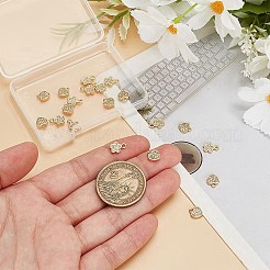 20Pcs 2 Styles Brass Clear Cubic Zirconia Charms&nbsp;FIND-AR0005-22G