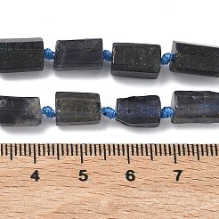 Natural Iolite Beads Strands&nbsp;G-C270-K06