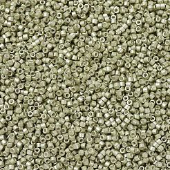 MIYUKI Delica Beads&nbsp;SEED-JP0008-DB1181