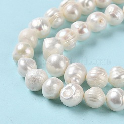 Natural Cultured Freshwater Pearl Beads Strands&nbsp;PEAR-E018-08