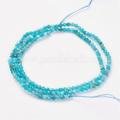 天然アパタイトビーズ連売り  ラウンド  多面カット  2mm  穴：0.5mm  約164個/連  15.8インチ（40.2cm）&nbsp;G-G680-11