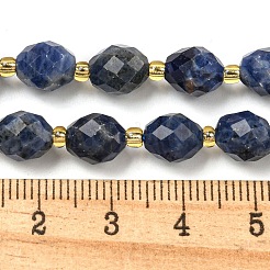 Natural Sodalite Beads Strands&nbsp;G-N342-37