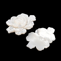 天然ホワイトシェル彫刻カボション  花のチャーム  22x32.5x4mm&nbsp;SSHEL-I026-15