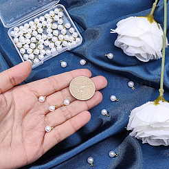 100 個の abs プラスチック模造真珠のペンダント  真鍮パーツ  ラウンド  ホワイト  9x6mm  穴：1.5mm&nbsp;SACR-BM0001-01