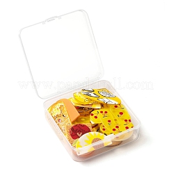 24Pcs 6 Style Cellulose Acetate(Resin) and Acrylic Pendant Sets&nbsp;KY-LS0001-16