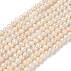 天然養殖淡水パールビーズ連売り  グレードA  ポテト  ベージュ  3.5~4mm  穴：0.5mm  約93~95個/連  13.78''（35センチメートル）&nbsp;PA-CBAC463-40