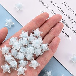 Transparent Acrylic Beads&nbsp;TACR-S152-11A-10