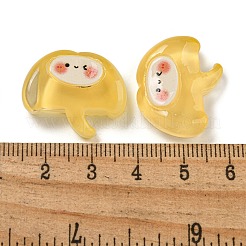 Ice Ocean Theme Opaque Resin Cabochons&nbsp;CRES-D040-02G