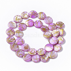 Drawbench Freshwater Shell Beads Strands&nbsp;SHEL-T014-012E