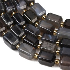 Natural Botswana Agate Beads Strands&nbsp;G-P611-A02-02