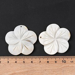 天然淡水貝の彫刻ペンダント  5枚の花びらのフラワーチャーム  貝殻色  39x40x4mm  穴：1.5mm&nbsp;BSHE-S304-14