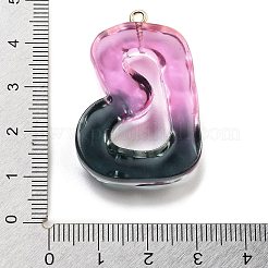 Resin Pendant&nbsp;LS-FIND-Q107-01B-01