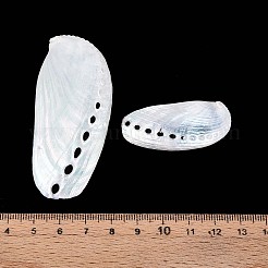 アワビの貝殻の装飾品  花瓶フィラー  ビーチウェディングの貝殻工芸品  貝殻色  35.5~69x19~31x6.9~9mm  穴：1.5~2.5x4mm&nbsp;SHEL-T020-54